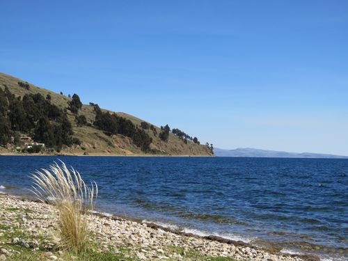 lac1