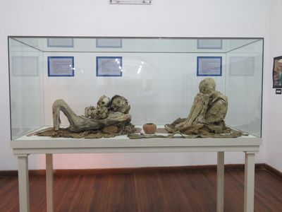 musee