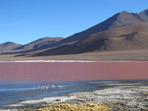 J2 laguna colorada2