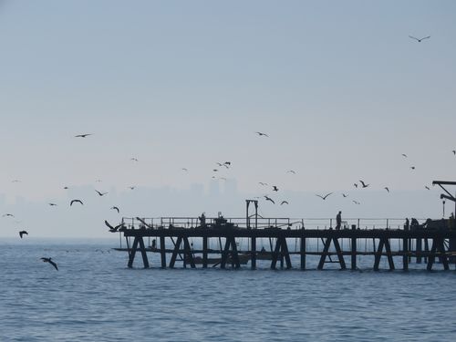 Littoral vers Vina 12