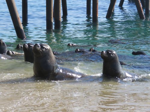 Littoral vers Vina 20