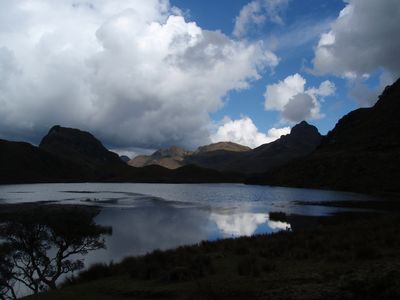 cajas3