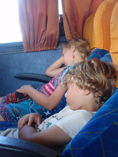 dodo bus resultat