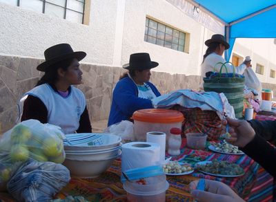 vilcas4