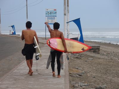 surfeurs